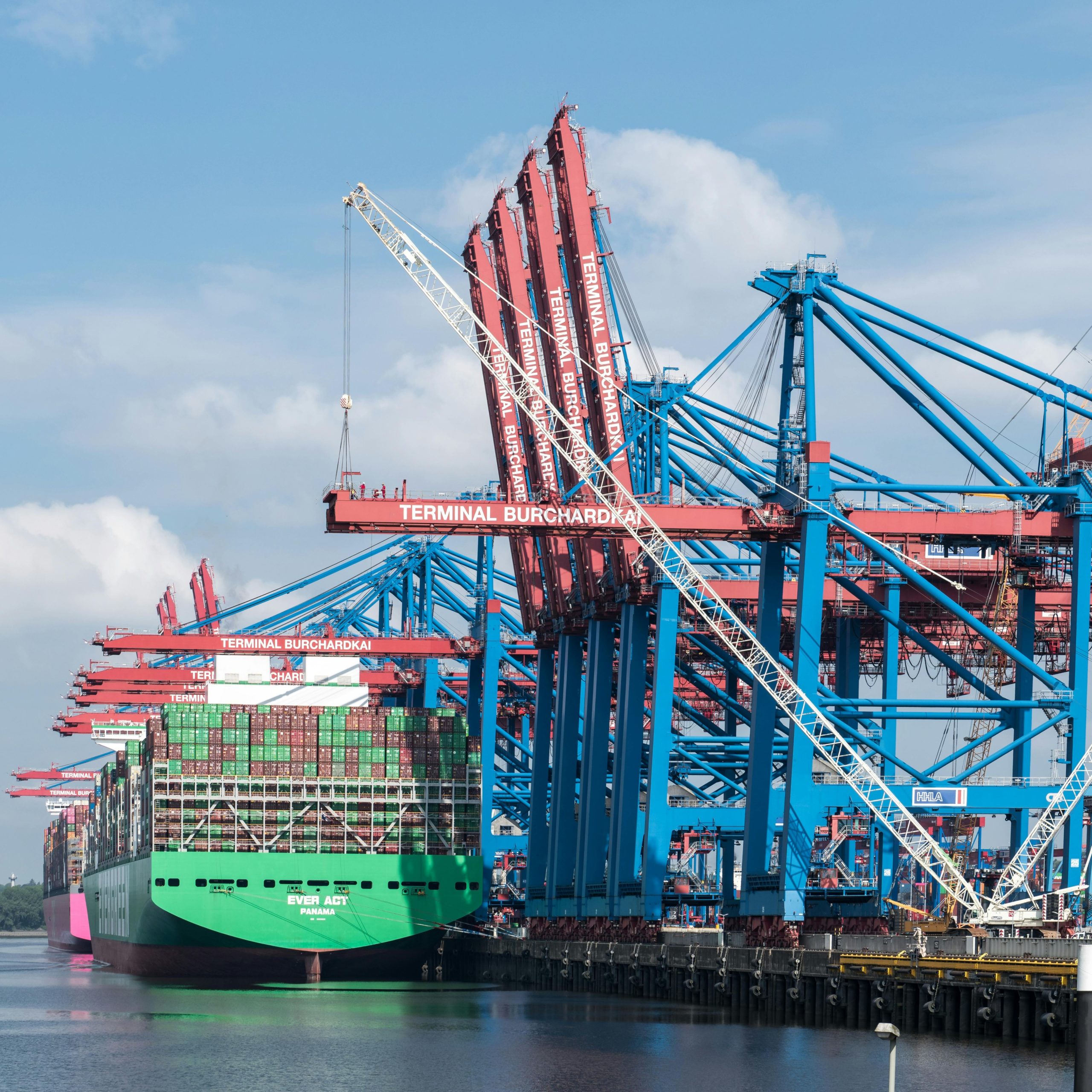 pexels-wolfgang-weiser-467045605-24896064 (1)